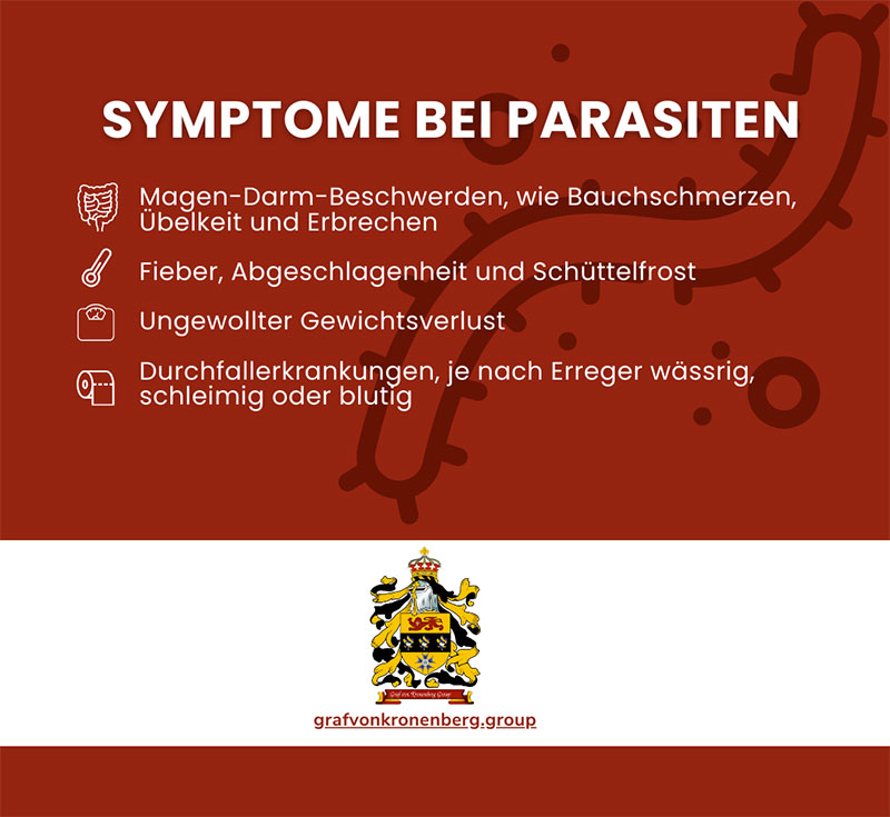Parasiten im Körper Infografik