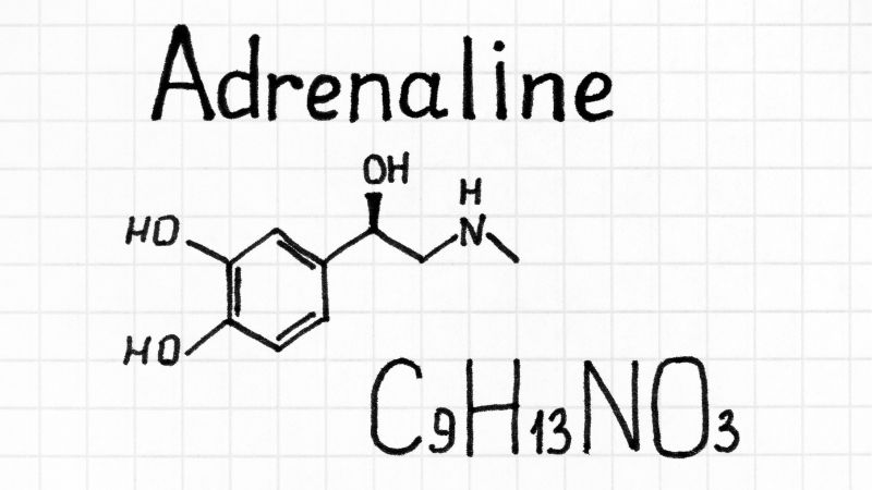 Eine Grafik das Stresshormon Adrenalin als chemische Formel dargestellt