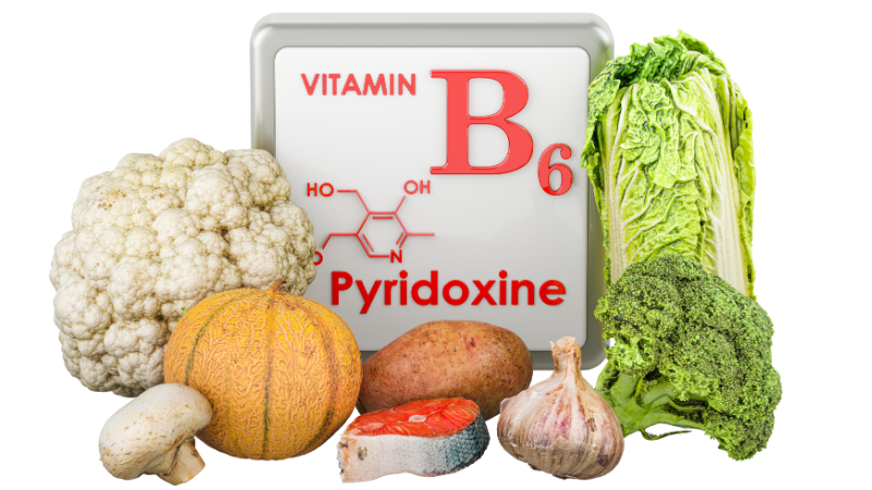 Ein Multitalent unter den B-Vitaminen