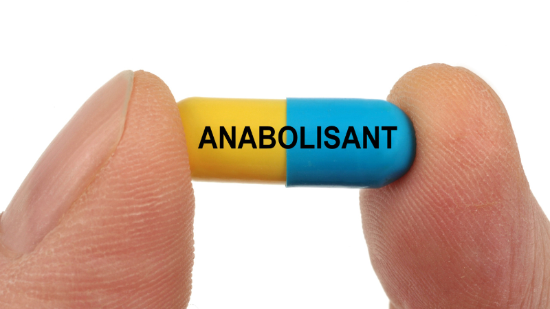 Anabolismus und Katabolismus