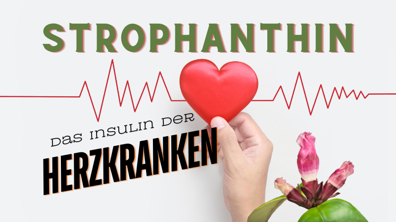 Strophanthin - Das Insulin für Herzkranken