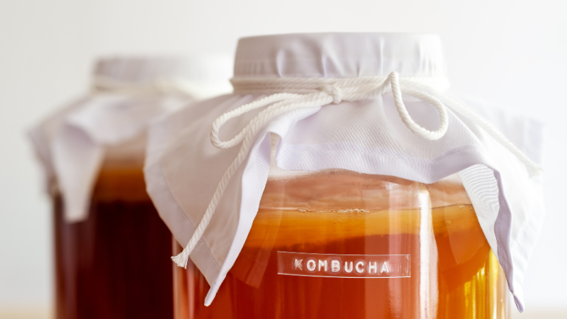 Fermentiertes probiotisches Kombucha in einem Einkochglas