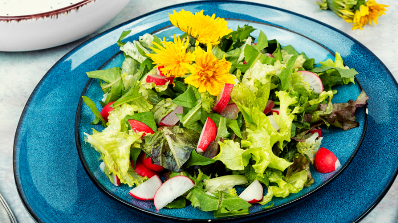 Löwenzahn im Salat