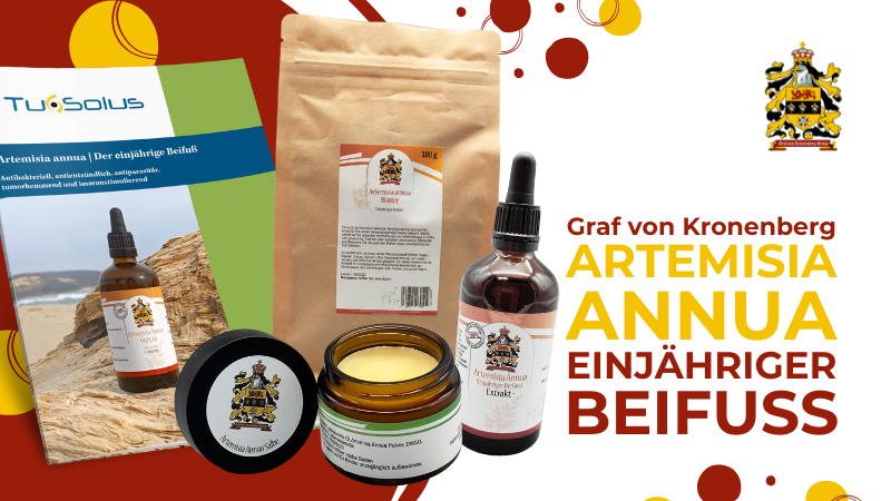 Hochwertige Artemisia annua Produktpalette von GvK