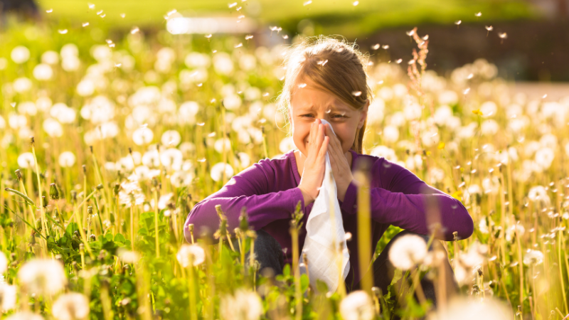 Mit dem Frühling hält auch die Pollensaison und damit der Heuschnupfen wieder Einzug