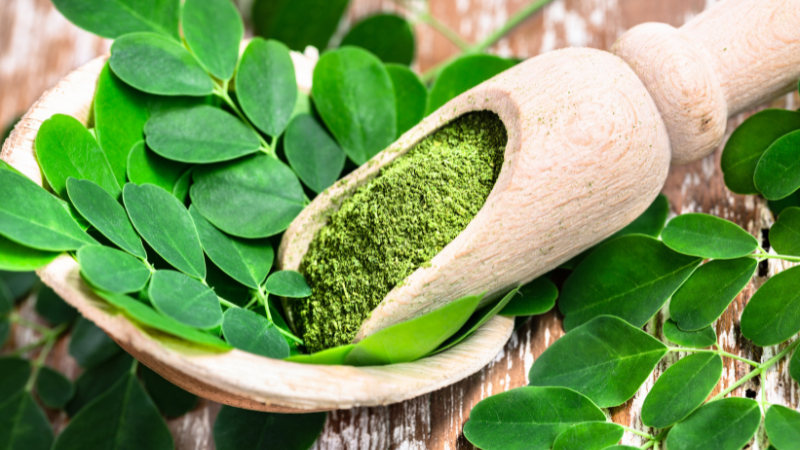 Moringa Blätter und das daraus hergestellte Blattpulver beinhalten über 90 essentielle Nährstoffe