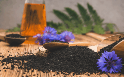 Schwarzkümmel Wirkung: Alles Wichtige auf einen Blick