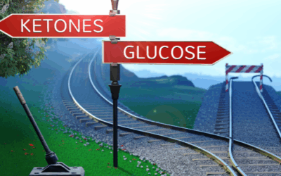 Was ist ketogene Ernährung? Vorteile, Risiken und Speiseplan im Überblick